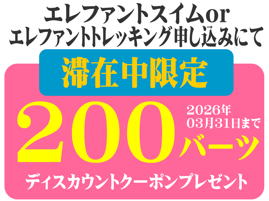このツアー申し込みにてディスカウントクーポンプレゼント